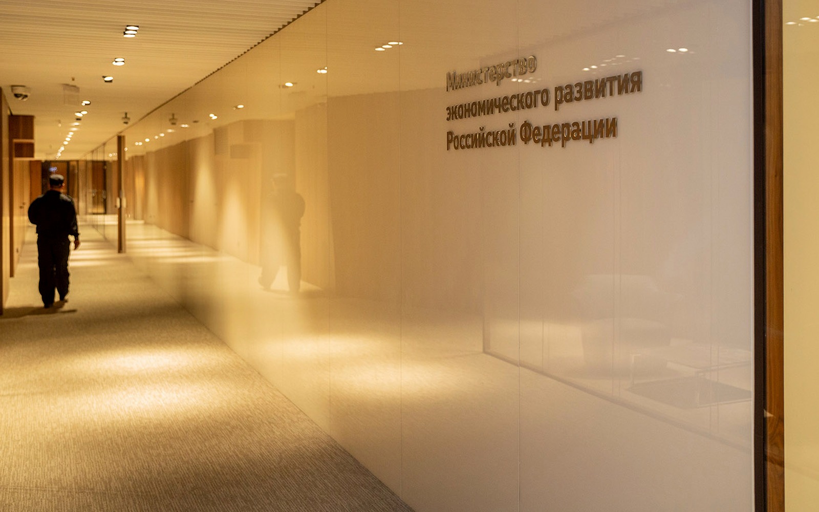 Минэк признал: закон о платформенной экономике требует доработки