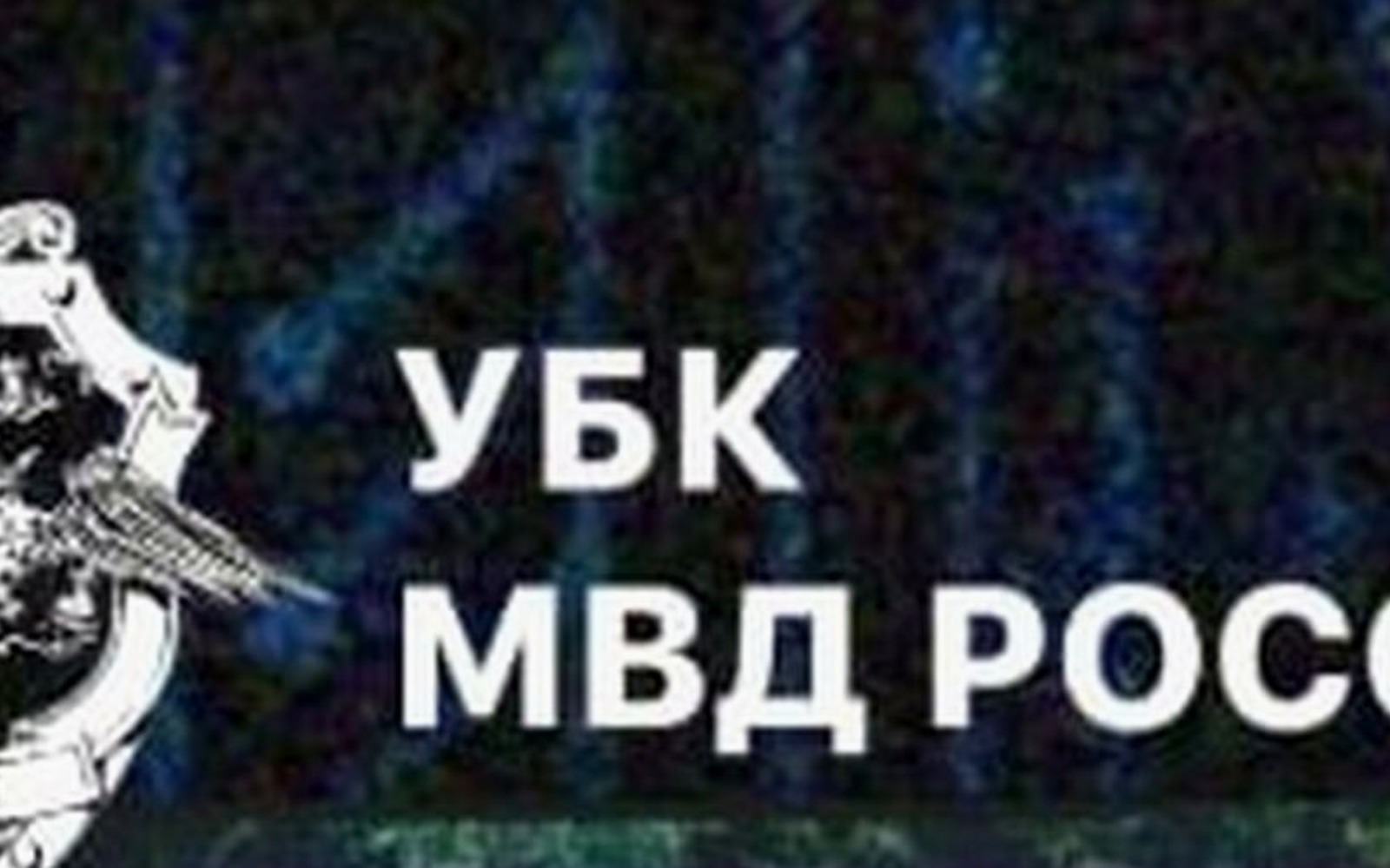 МВД vs чёрные авитологи: чем рискуют те, кто размещает чужие товары