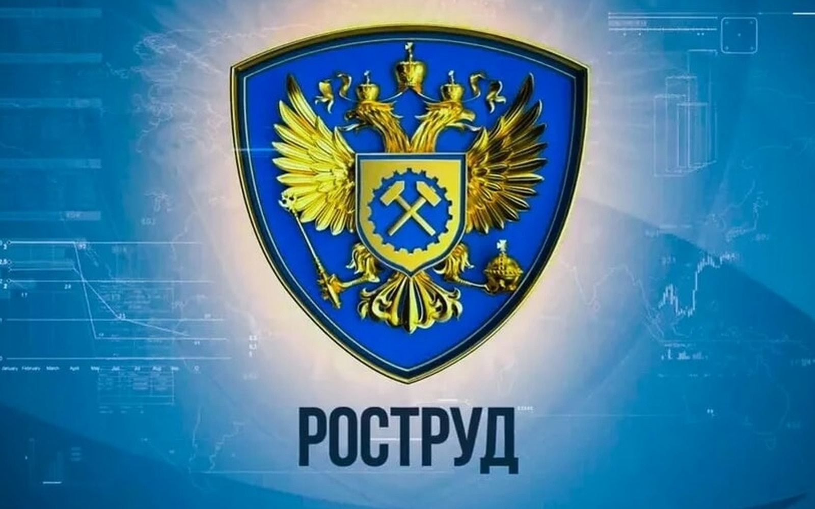 Роструд проверяет ПВЗ и склады Wildberries и Ozon на скрытые трудовые отношения