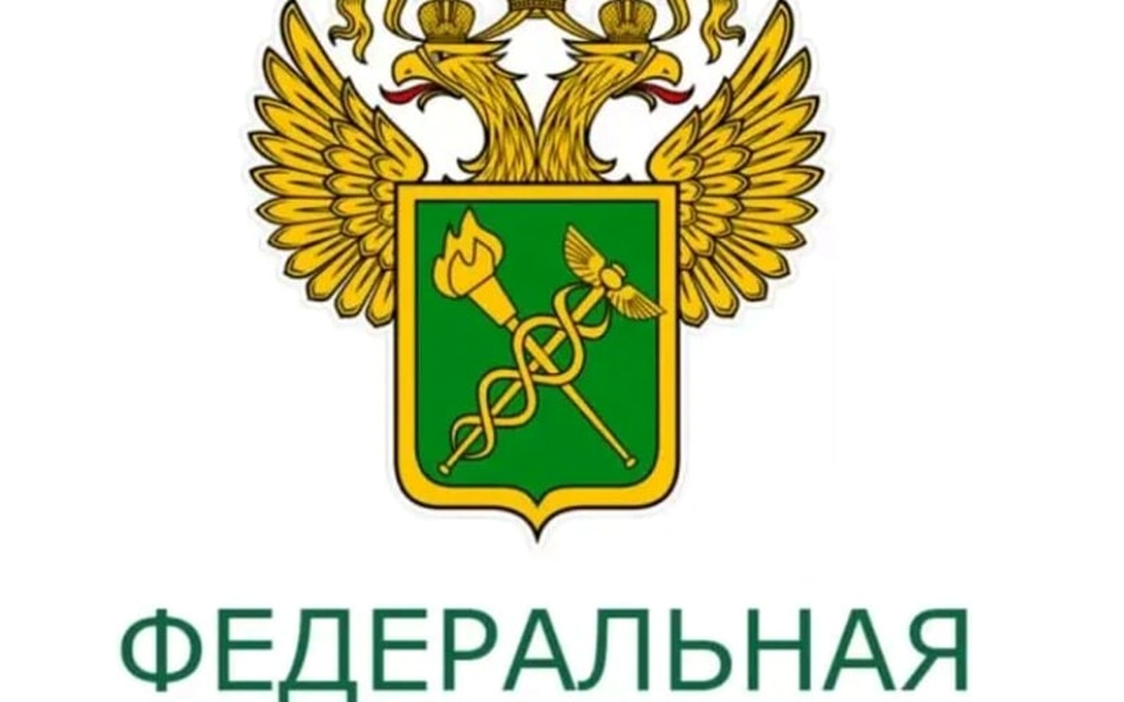 Таможня доначисляет пошлины на параллельный импорт через ЕАЭС
