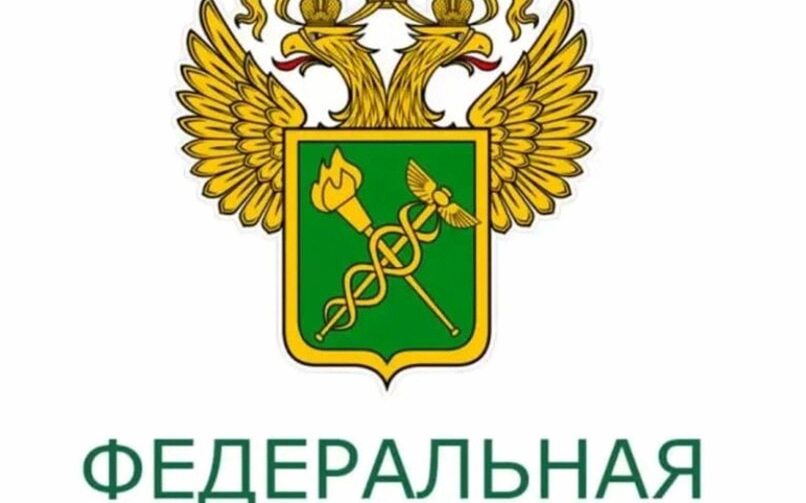 Таможня закрыла схему ввоза товаров через ЕАЭС без повторных пошлин