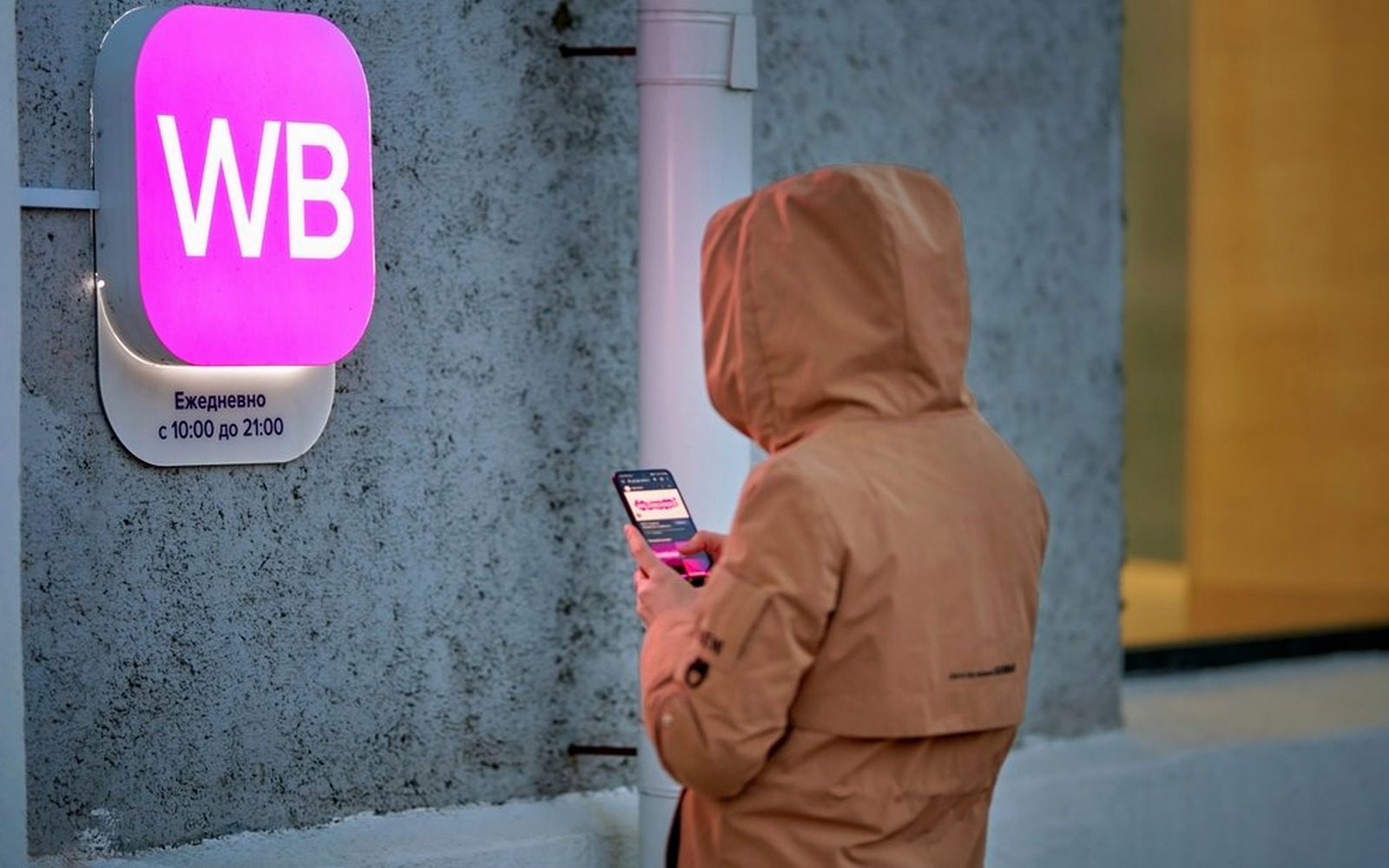 Wildberries разделит рекламные и сервисные уведомления по требованию УФАС