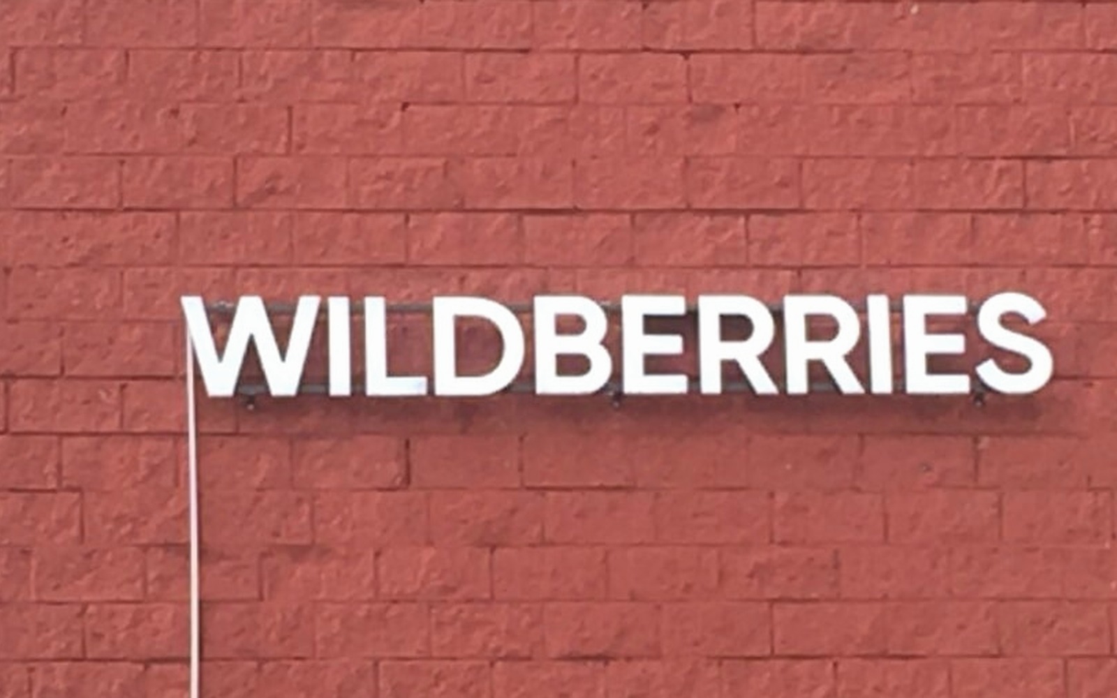 Wildberries летом запустит ЦФА: маркетплейс займёт деньги у покупателей