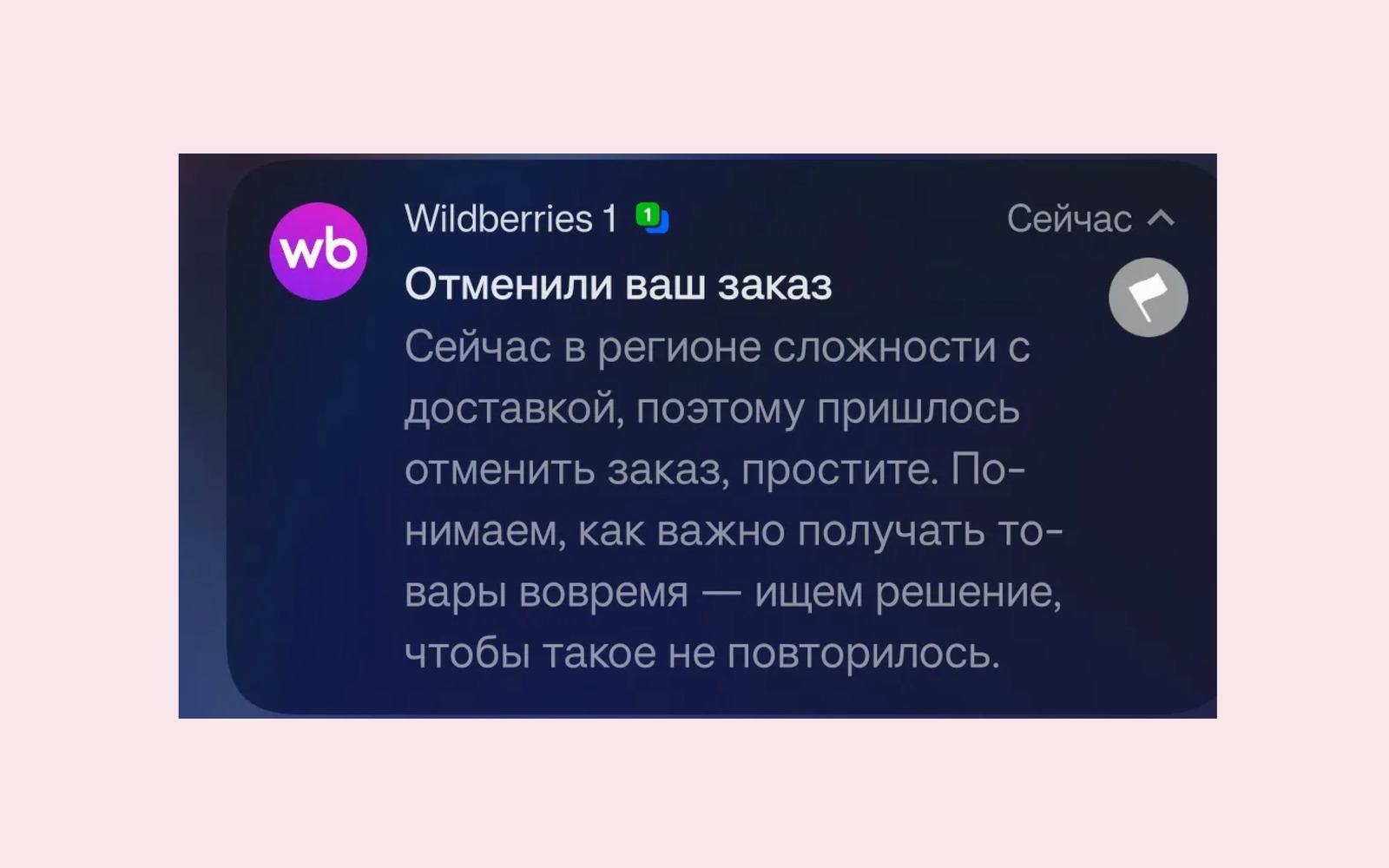 Wildberries опровергли сбои доставки из-за топливного кризиса