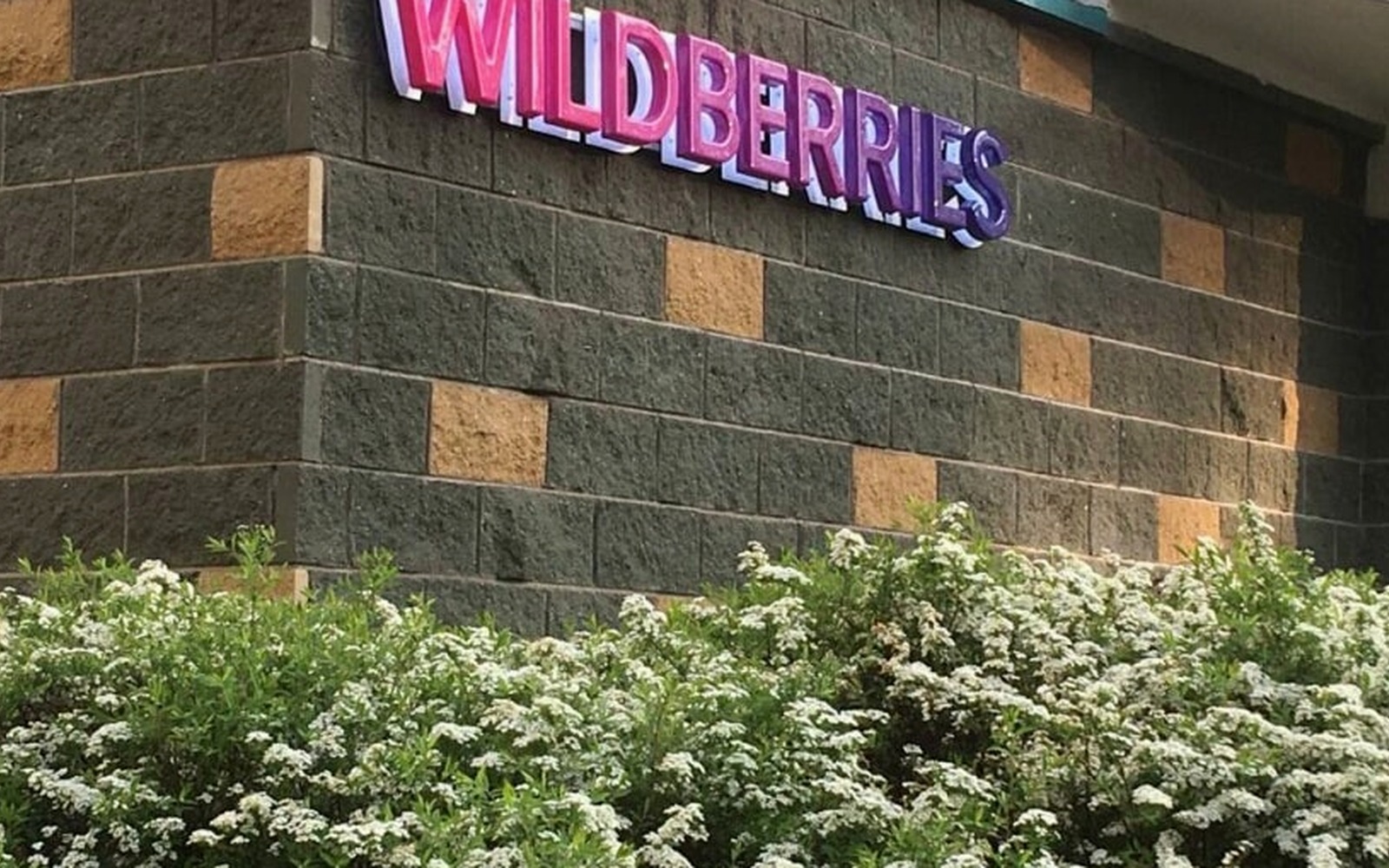 Wildberries расширяет основания для приостановки выплат в новой оферте